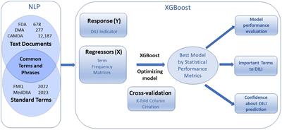 Automatic text classification of drug-induced liver injury using document-term matrix and XGBoost